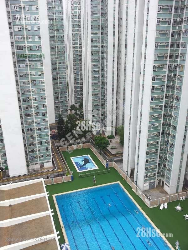 City One Shatin Sell 484 ft²