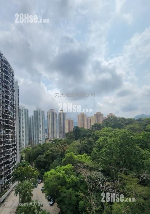 富豪花园 租盘 3 房 , 1 浴室 560 平方尺