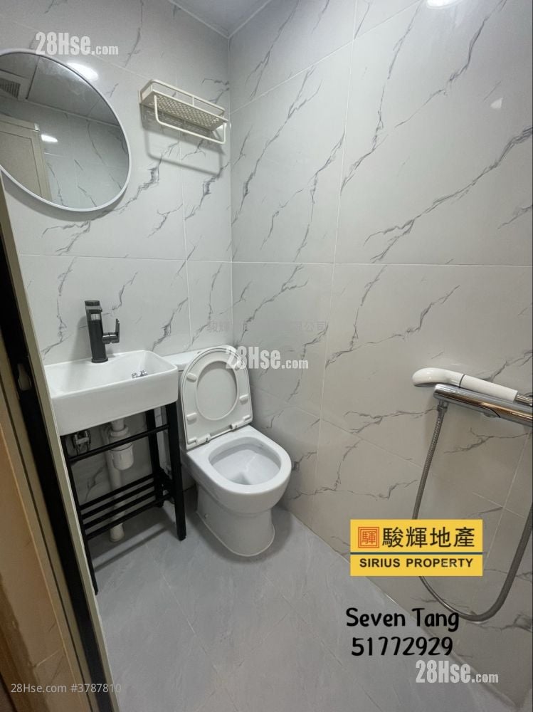 文景楼 租盘 150 平方尺