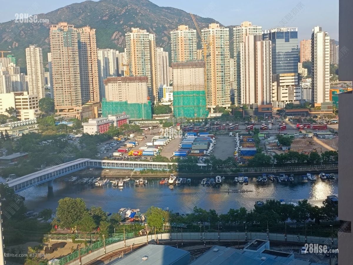 新屯门中心 售盘 1 房 462 平方尺