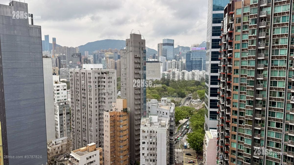 维峯浚汇 售盘 1 房 , 1 浴室 265 平方尺