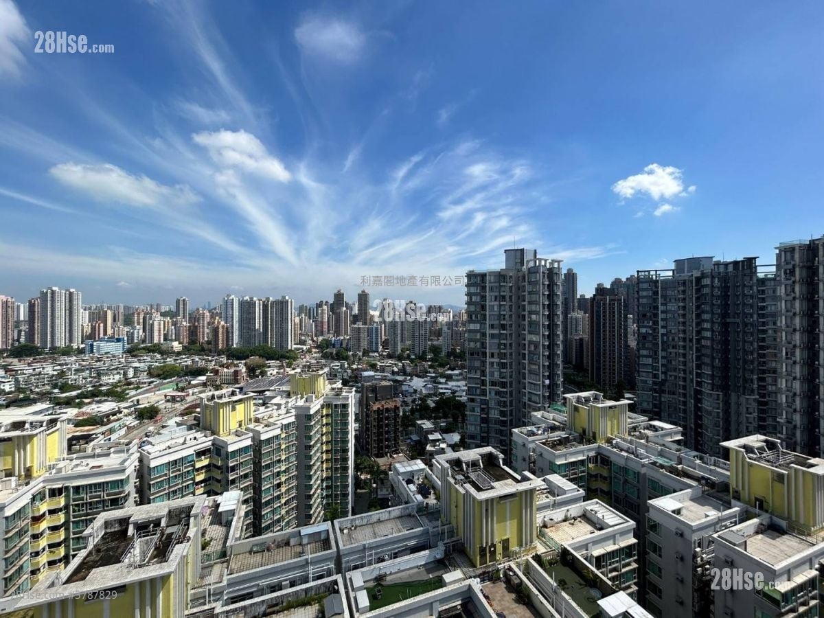 蝶翠峰 售盘 1 房 254 平方尺