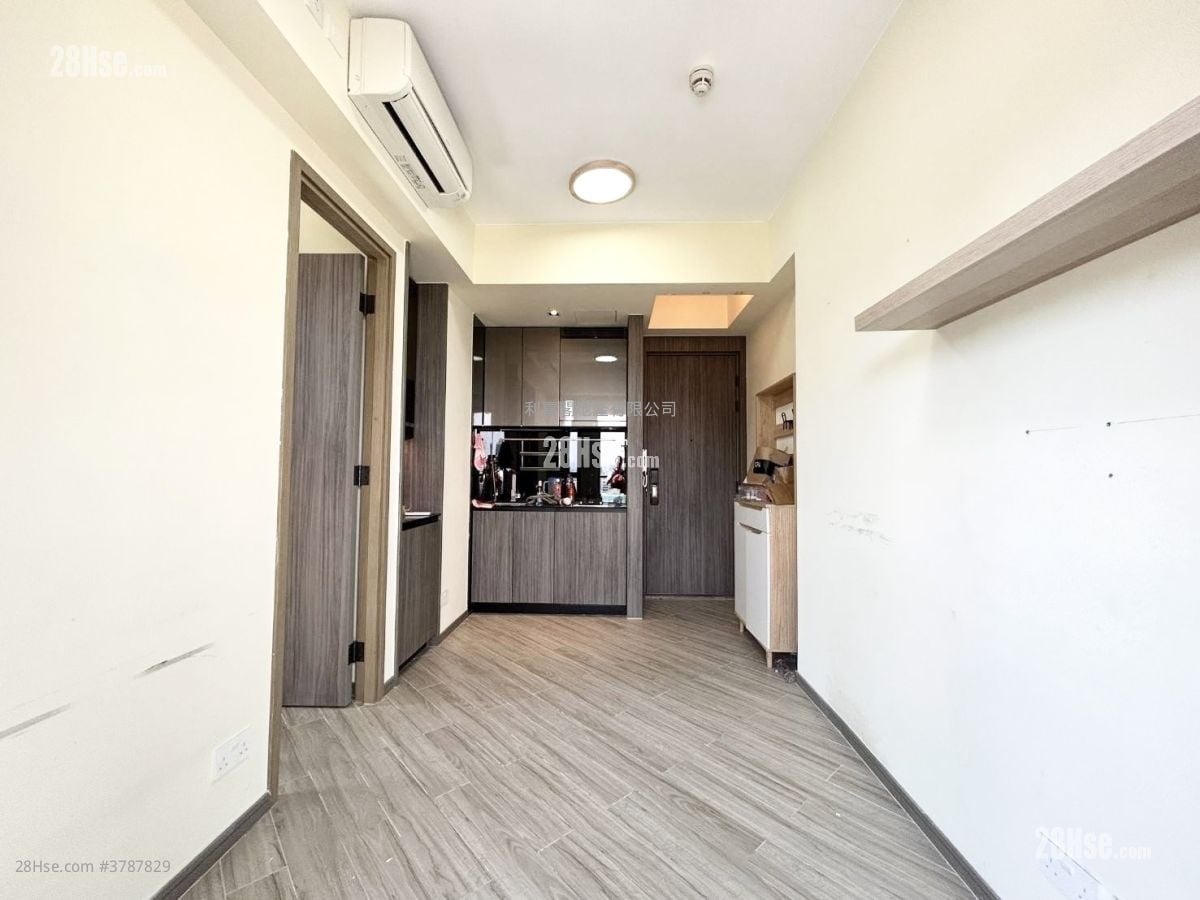 蝶翠峰 售盘 1 房 254 平方尺