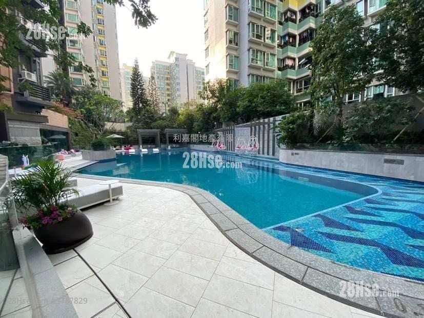 蝶翠峰 售盘 1 房 254 平方尺