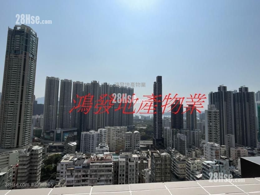 AVA228 租盘 开放式间隔 , 1 浴室 155 平方尺