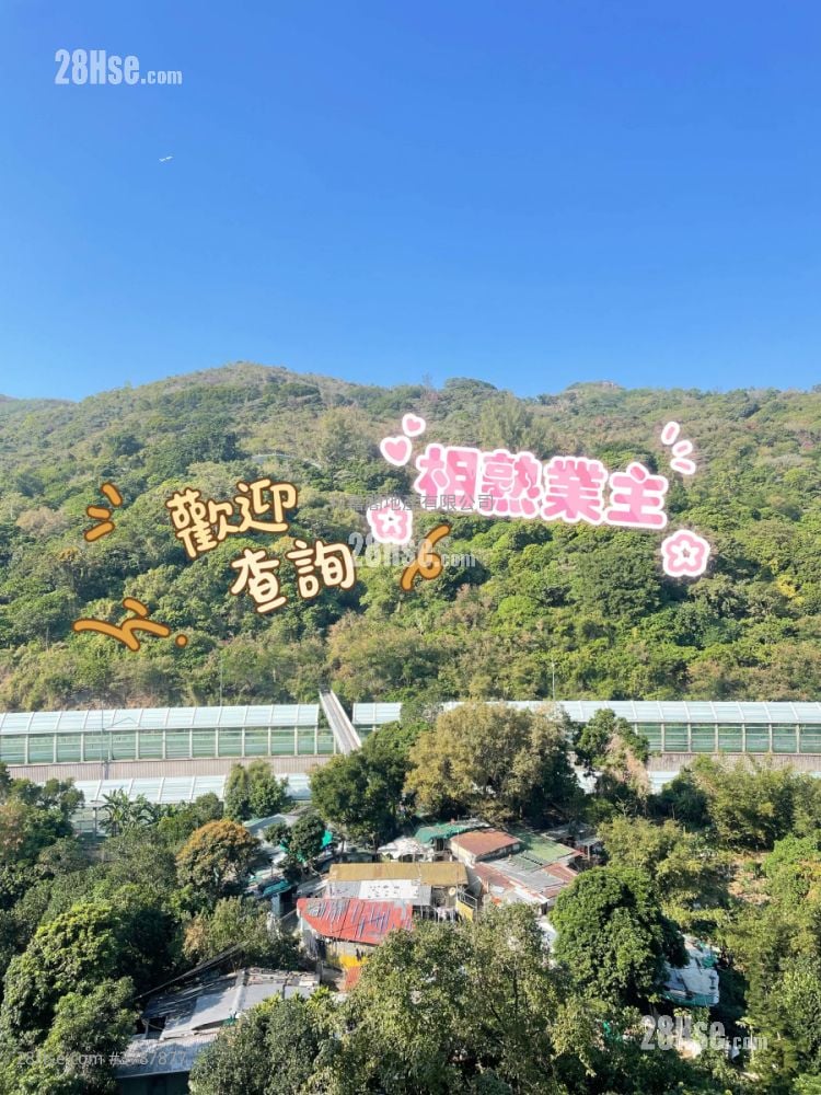 Belvedere Garden Sell 3 Bedrooms , 1 Bathroom 572 ft²