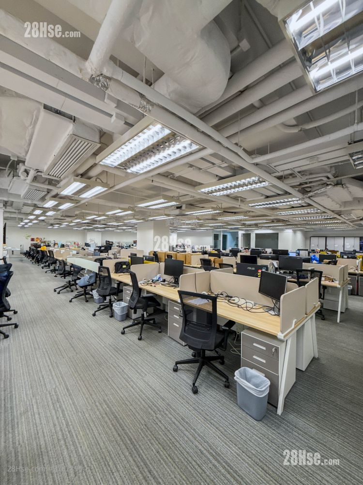 Kodak House Ii Rental