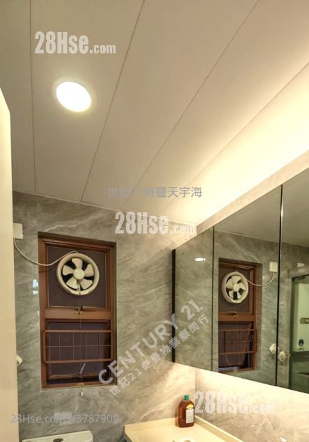 Jimmy豆生 63460809