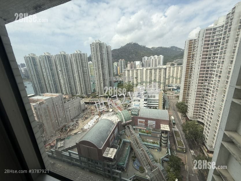 海怡半岛 售盘 1 房 584 平方尺