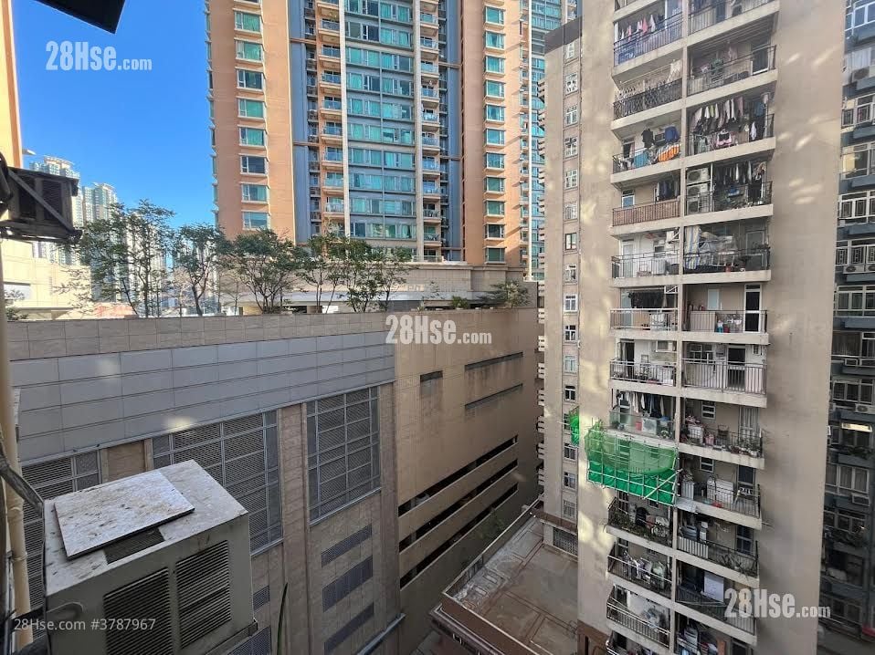 美孚新邨 租盘 3 房 , 1 浴室 666 平方尺