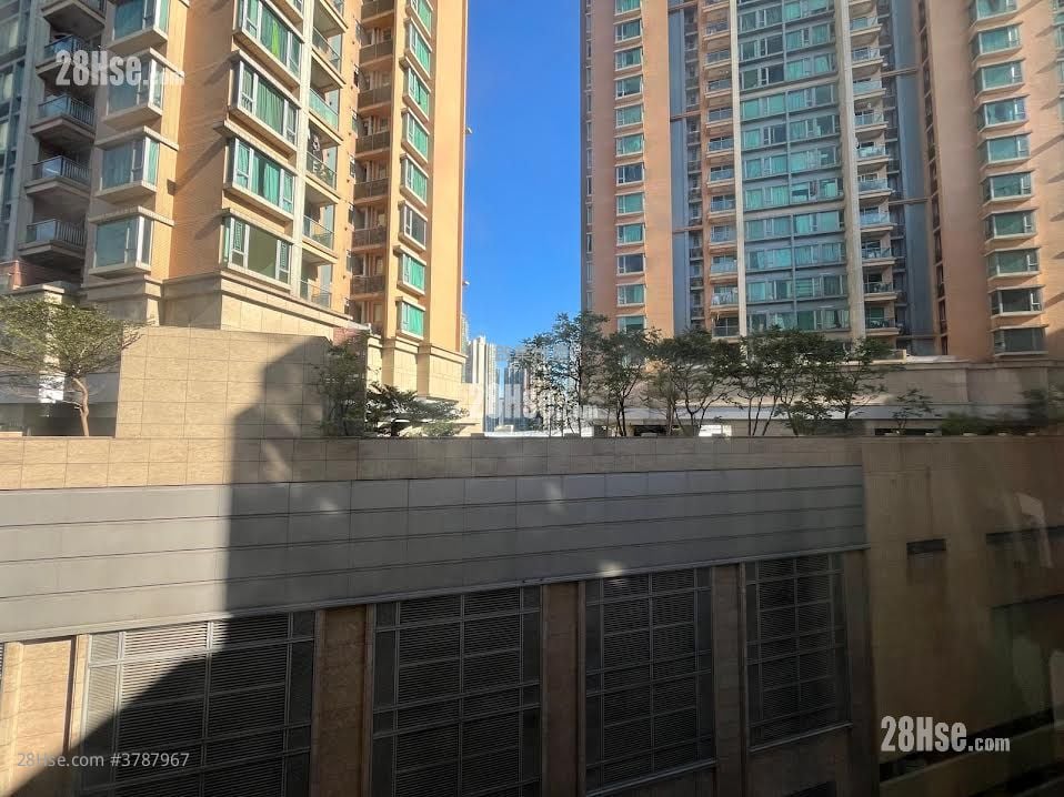 美孚新邨 租盘 3 房 , 1 浴室 666 平方尺