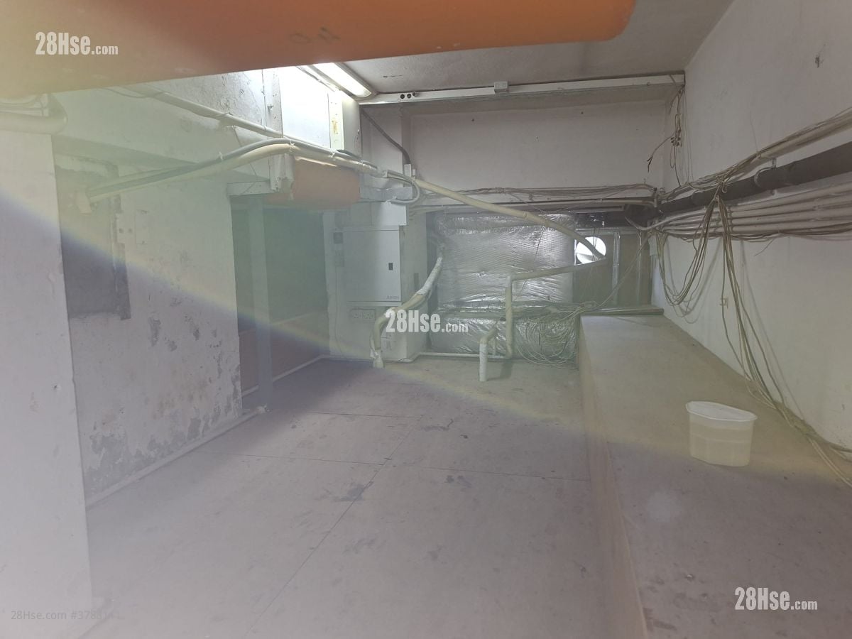 Luen Tak Building Rental 1 Toilet 400 ft²