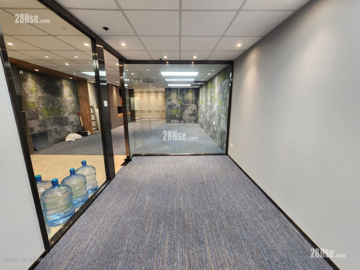 International Plaza Rental