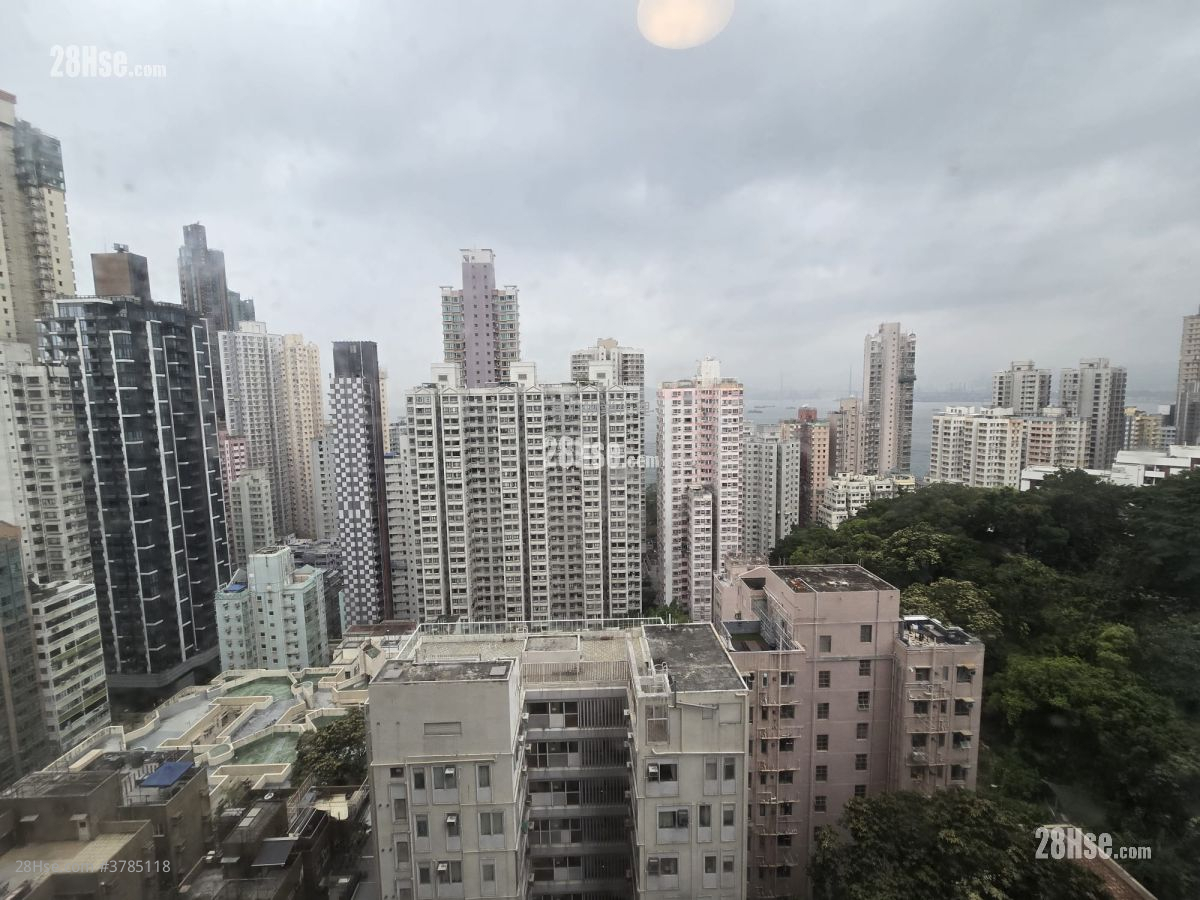 Academic Terrace Rental 2 Bedrooms , 1 Bathroom 531 ft²