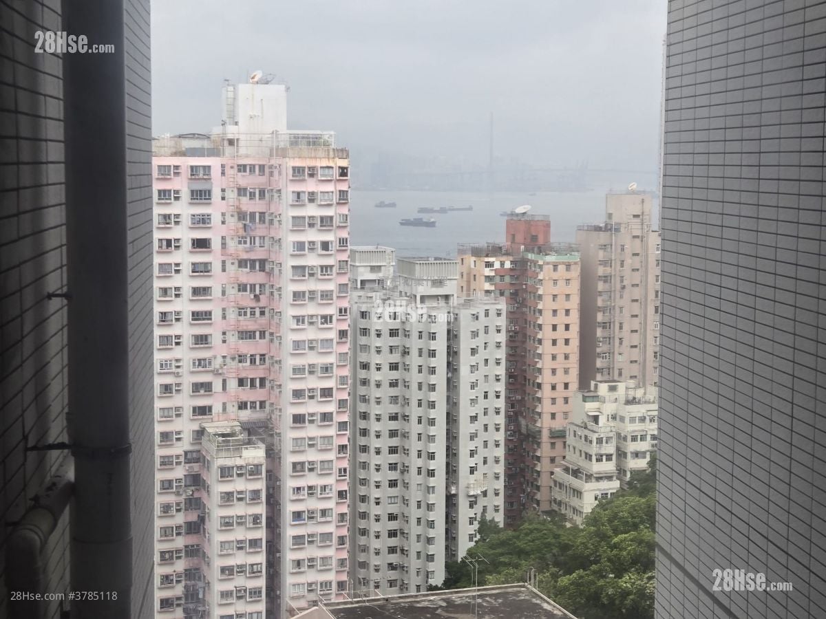 Academic Terrace Rental 2 Bedrooms , 1 Bathroom 531 ft²