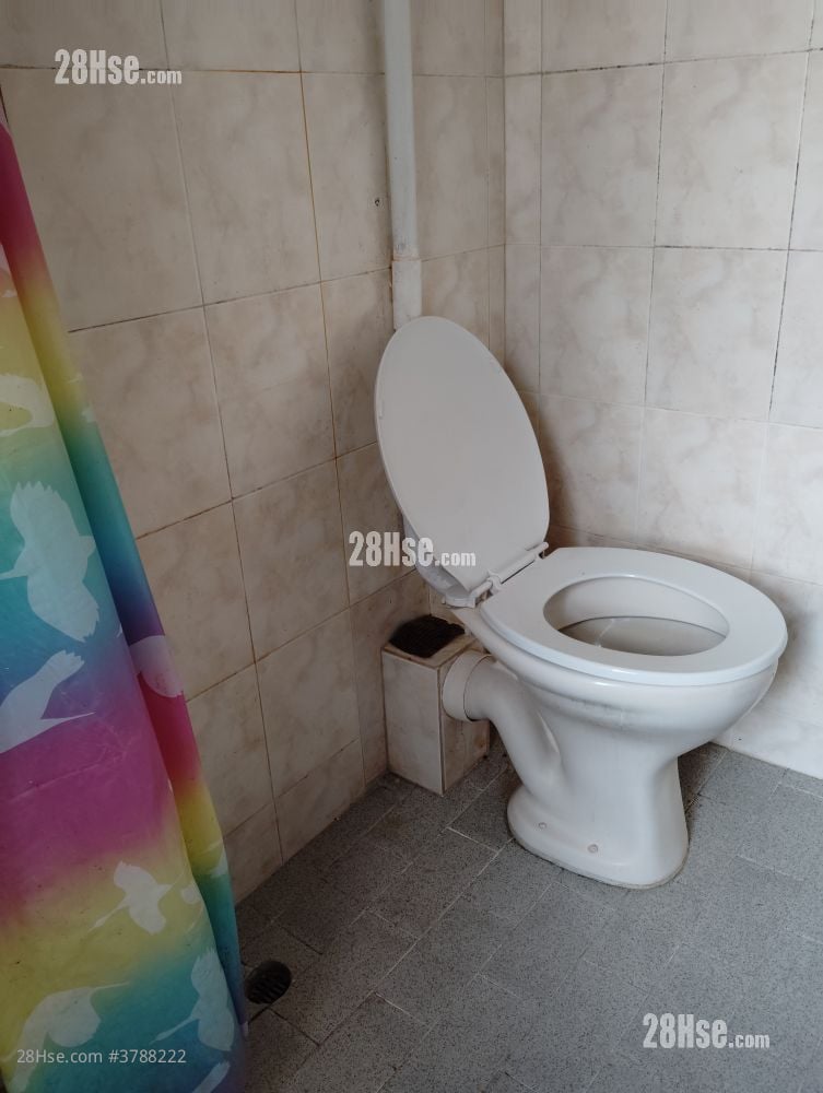 Mascot Mansions Rental Studio , 1 Bathroom 130 ft²