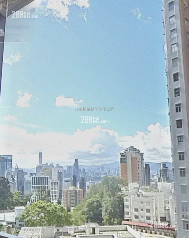 柏园 售盘 4 房 1,161 平方尺