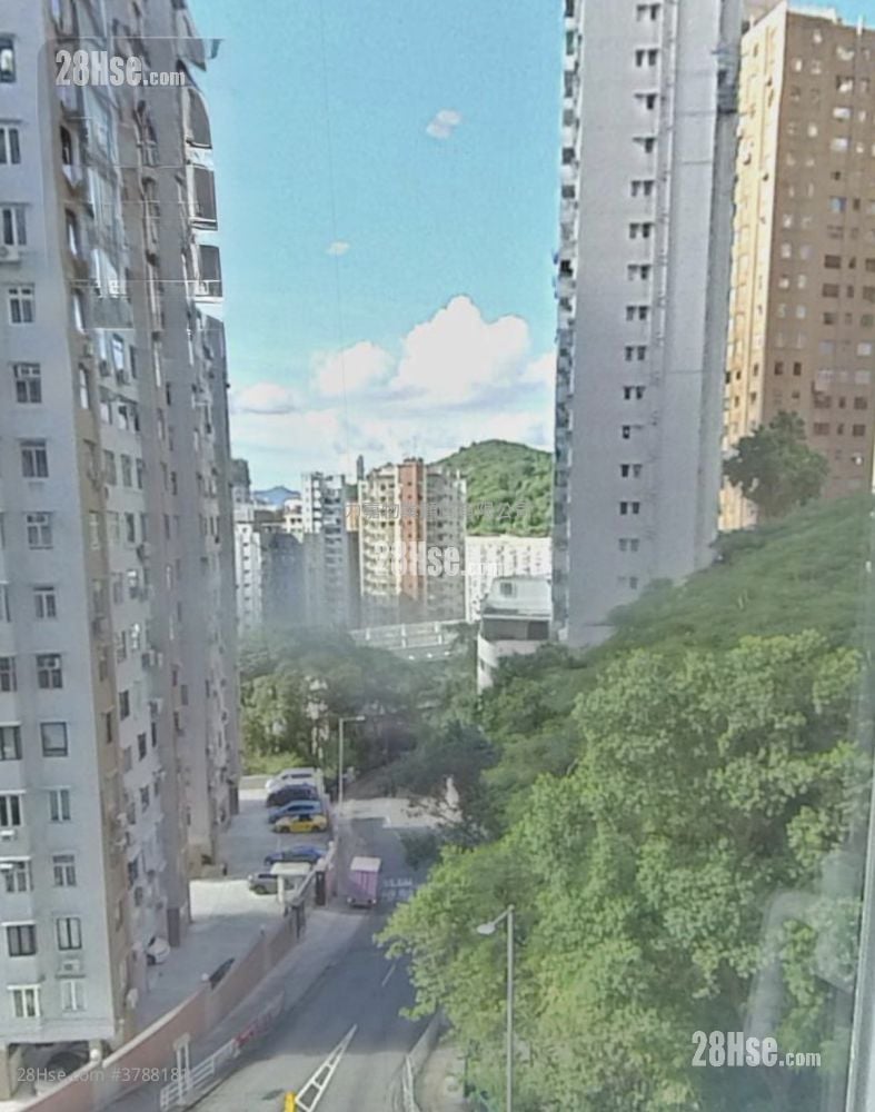 柏园 售盘 4 房 1,161 平方尺