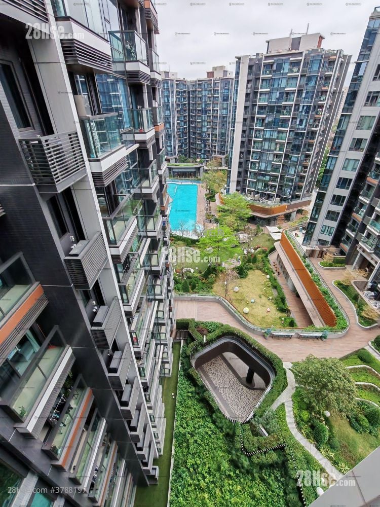 Silicon Hill 租盘 1 房 291 平方尺