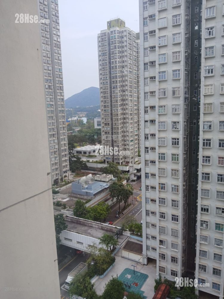 Jade Plaza Sell 1 Bedroom , 1 Bathroom 269 ft²