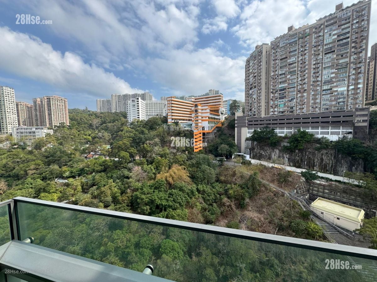 形品 租盘 1 房 , 1 浴室 363 平方尺