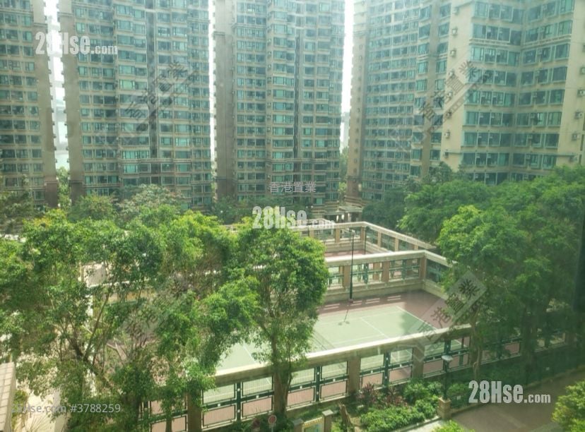 珀丽湾 租盘 2 房 , 1 浴室 490 平方尺