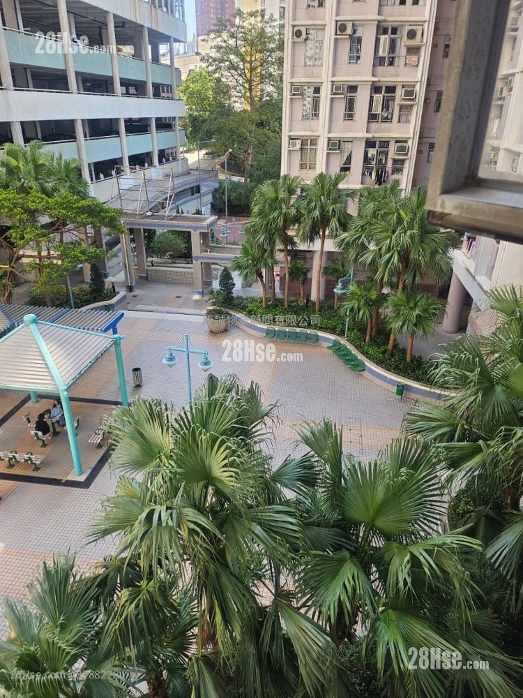 Lei On Court Sell 3 Bedrooms , 2 Bathrooms 650 ft²