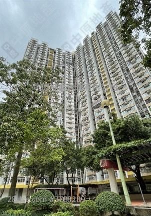 长安邨 售盘 3 房 , 1 浴室 531 平方尺