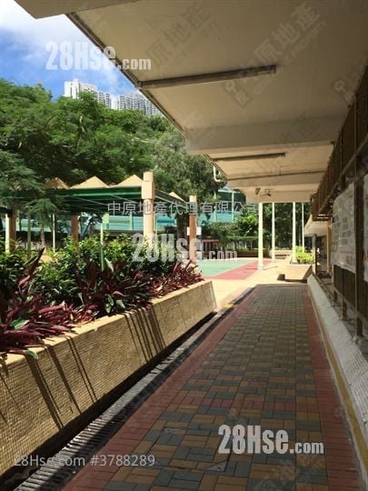 长安邨 售盘 3 房 , 1 浴室 531 平方尺