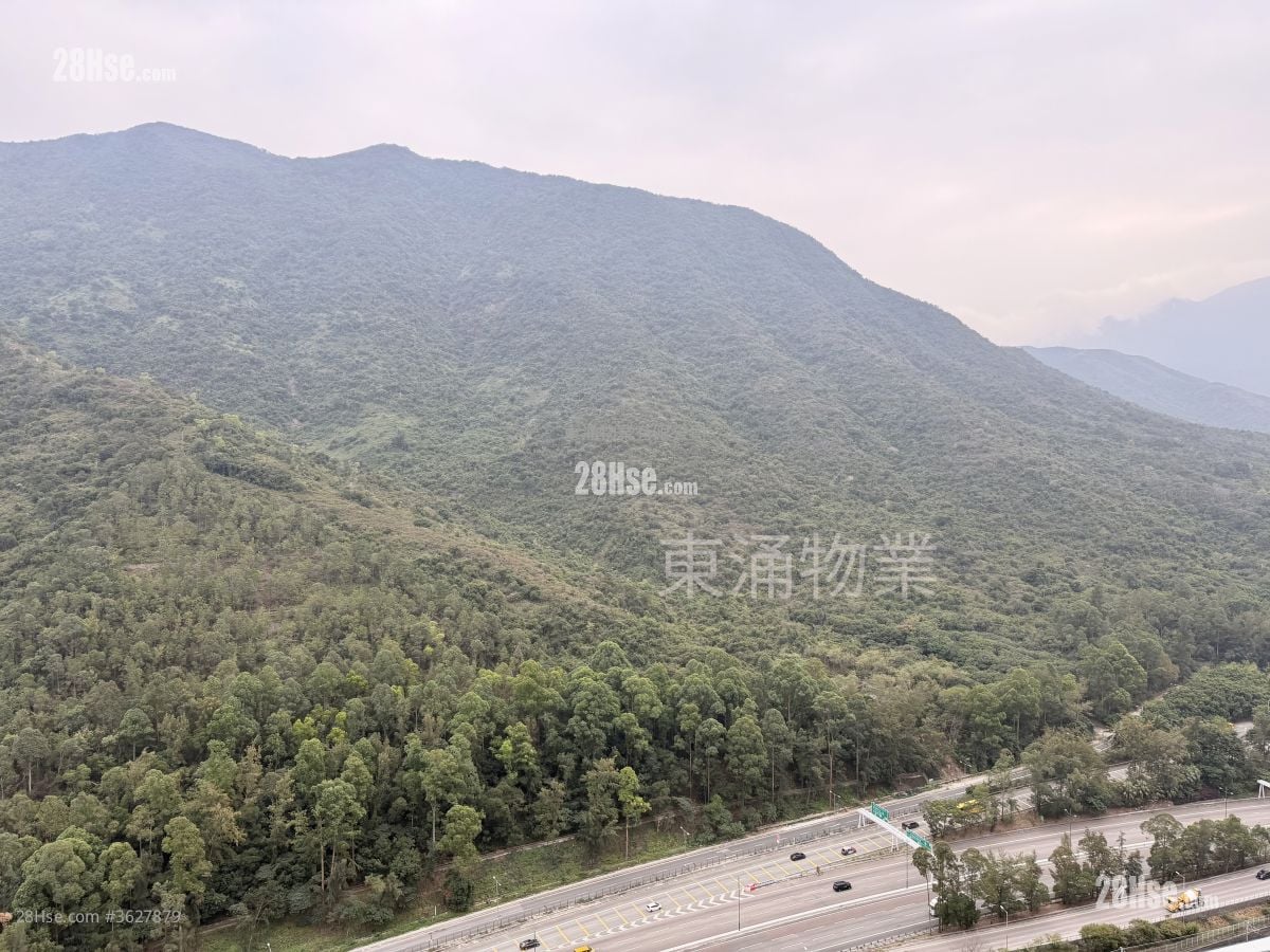 映湾园 租盘 2 房 , 1 浴室 544 平方尺