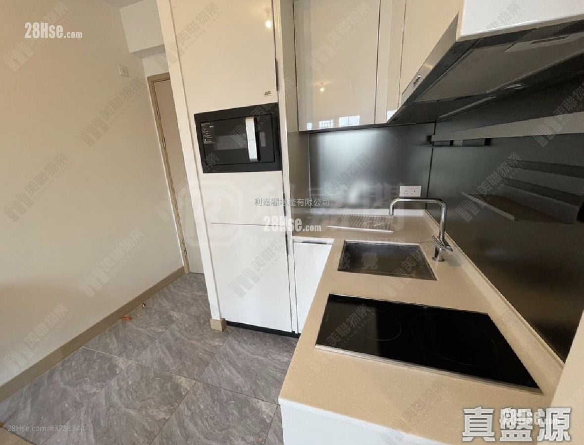 朗屏8号 售盘 1 房 363 平方尺