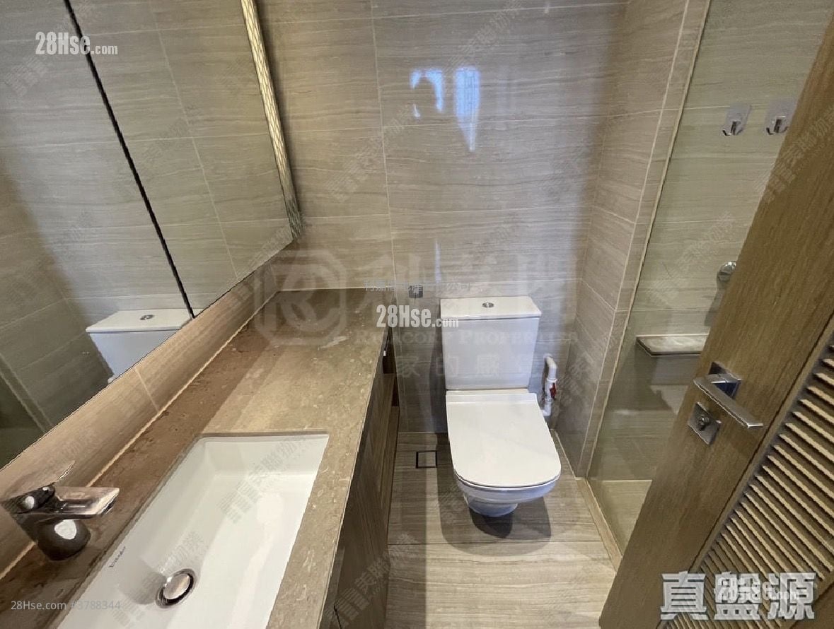 朗屏8号 售盘 1 房 363 平方尺