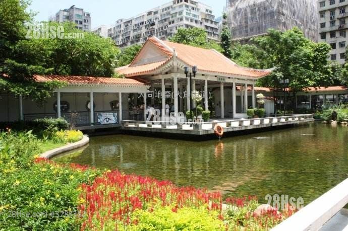 单幢楼房 租盘 2 房 233 平方尺