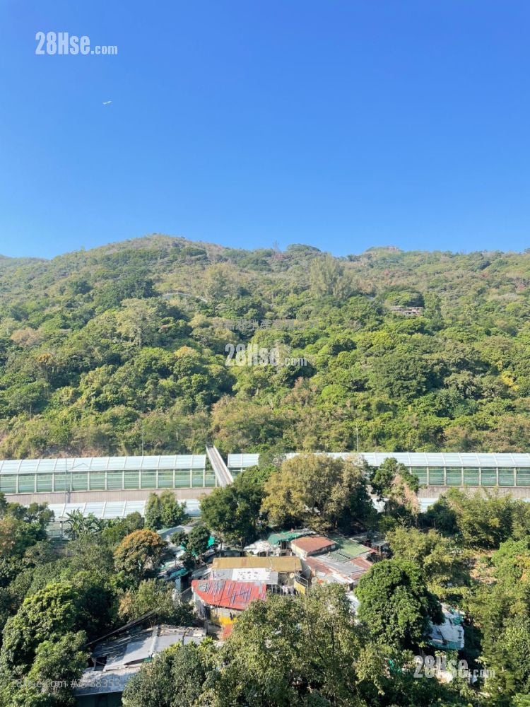 丽城花园 售盘 3 房 , 1 浴室 572 平方尺