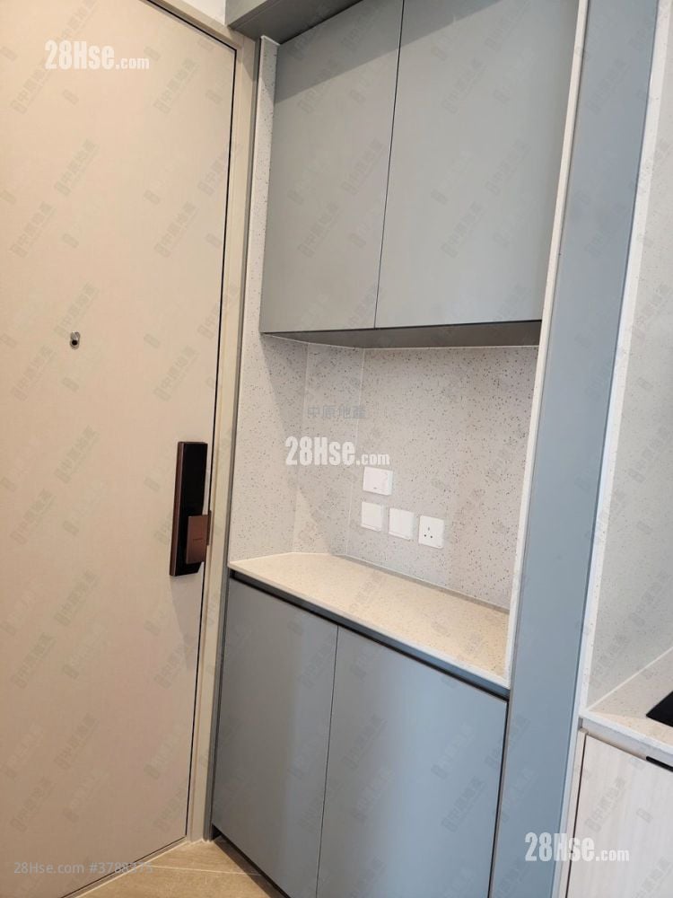 晓柏峰 售盘 1 房 305 平方尺