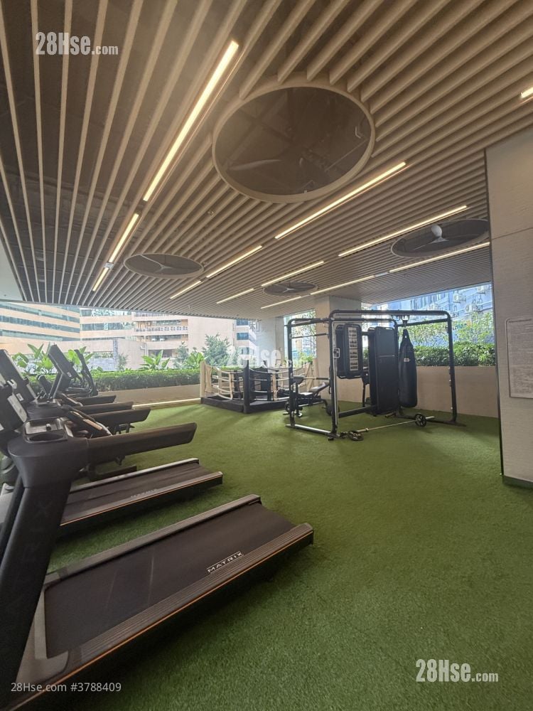 I City Sell Studio , 1 Toilet