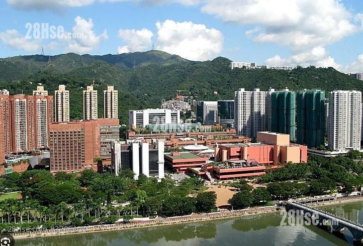 Prime Retail Shop In Shatin Rental