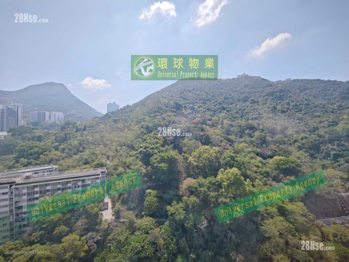 Cayman Rise Rental 2 Bedrooms , 1 Bathroom 464 ft²