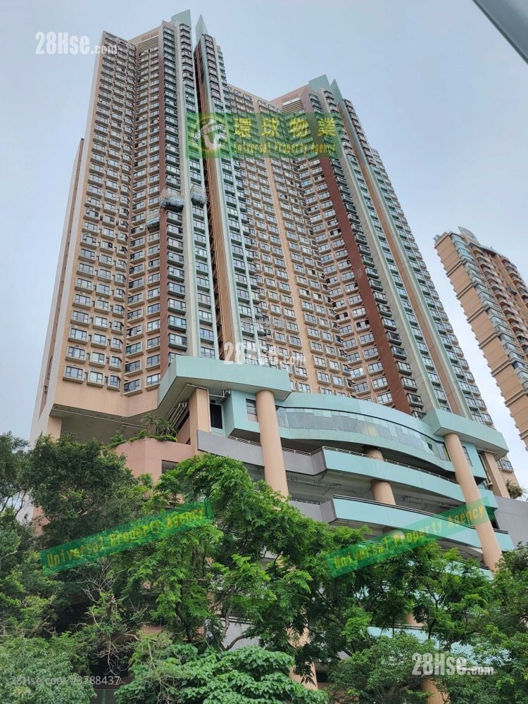 Cayman Rise Rental 2 Bedrooms , 1 Bathroom 464 ft²