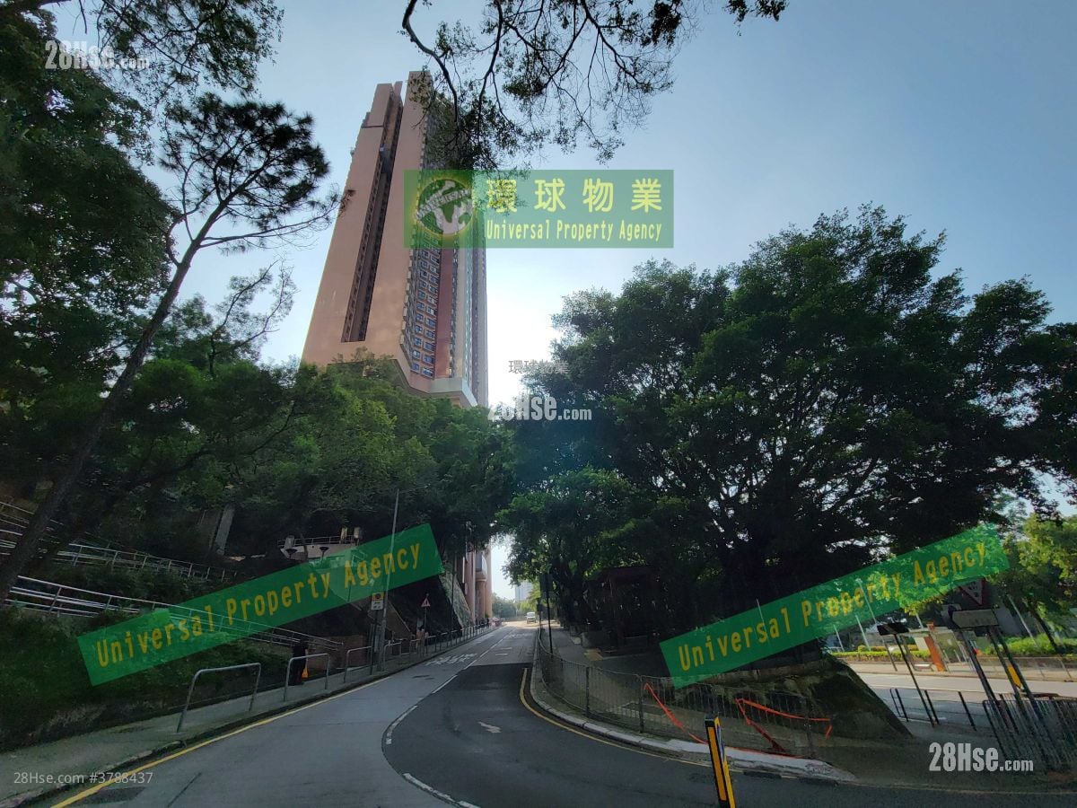 Cayman Rise Rental 2 Bedrooms , 1 Bathroom 464 ft²