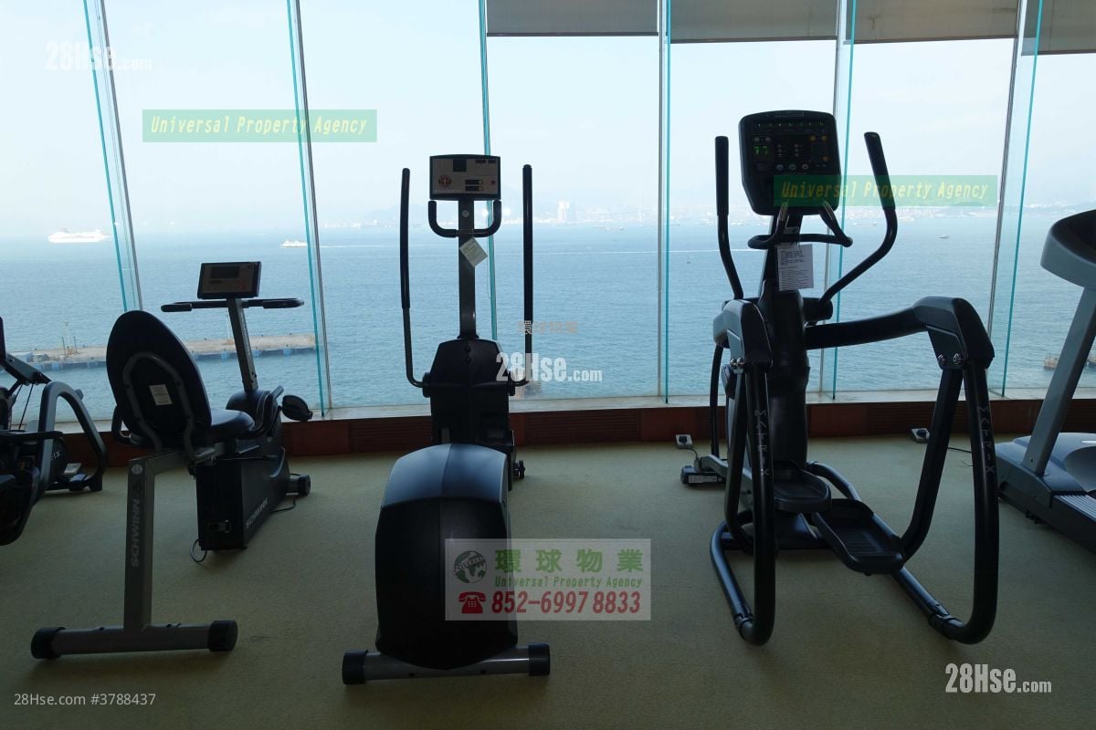 Cayman Rise Rental 2 Bedrooms , 1 Bathroom 464 ft²