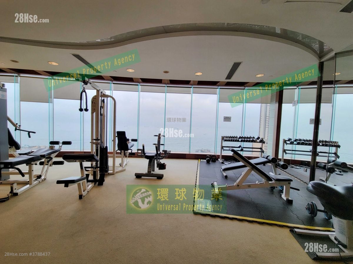 Cayman Rise Rental 2 Bedrooms , 1 Bathroom 464 ft²