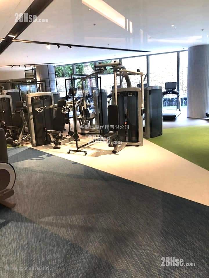 Ocean Camino Rental 4 Bedrooms , 2 Bathrooms 790 ft²