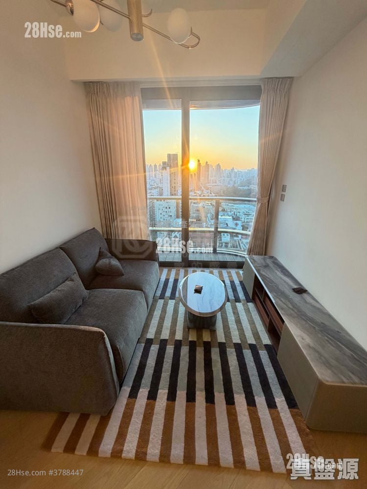 128 Waterloo 售盘 1 房 342 平方尺