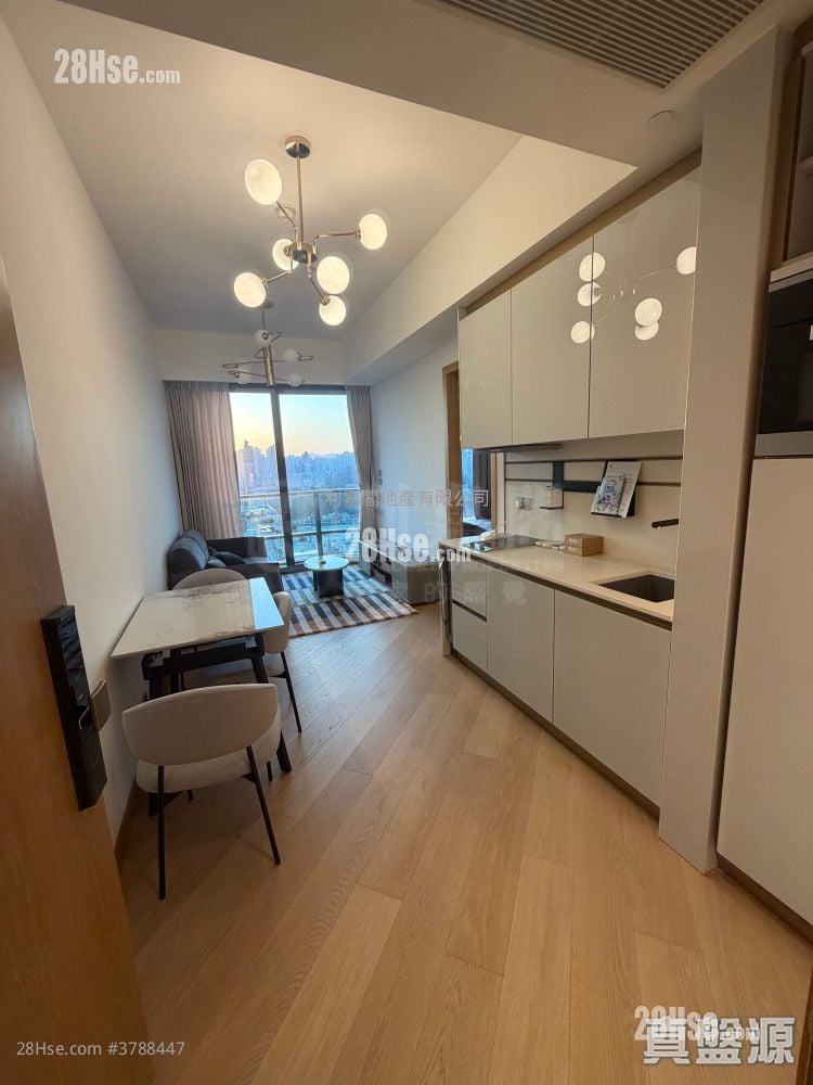 128 Waterloo 售盘 1 房 342 平方尺