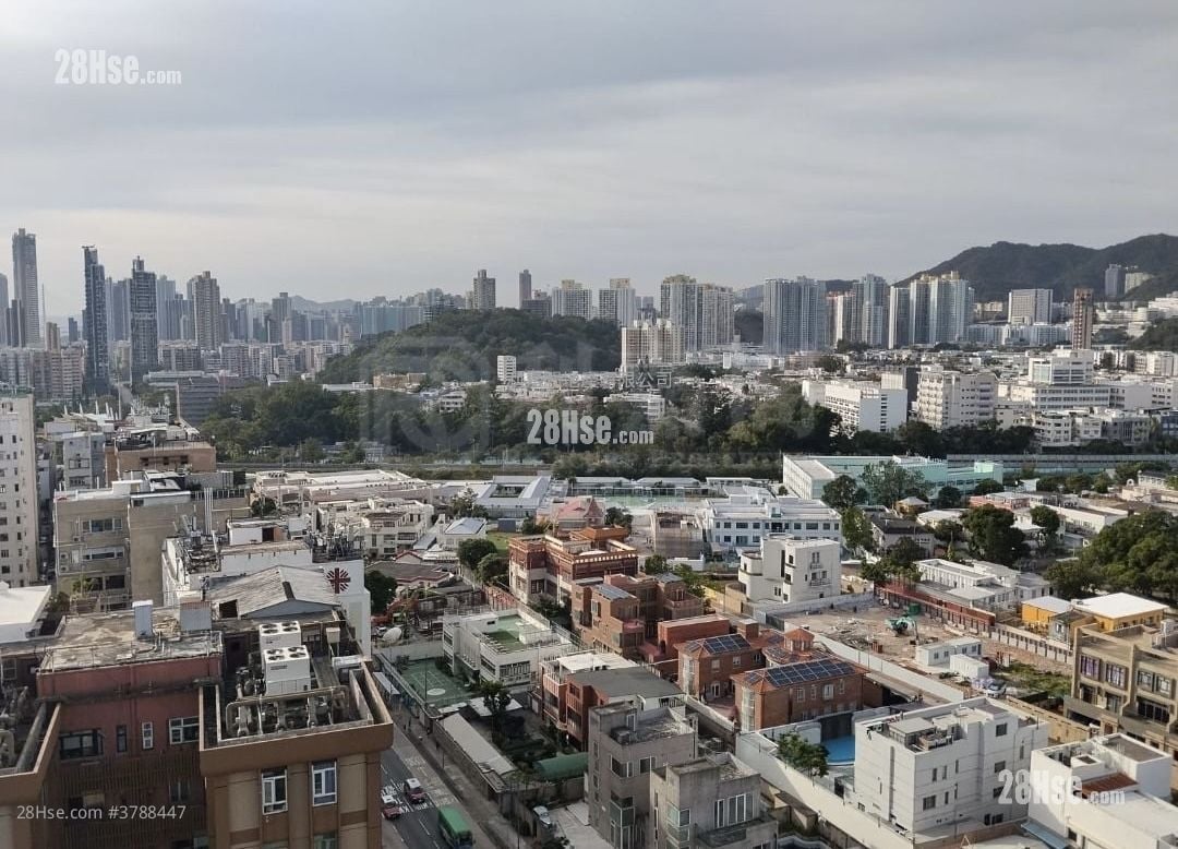 128 Waterloo 售盘 1 房 342 平方尺