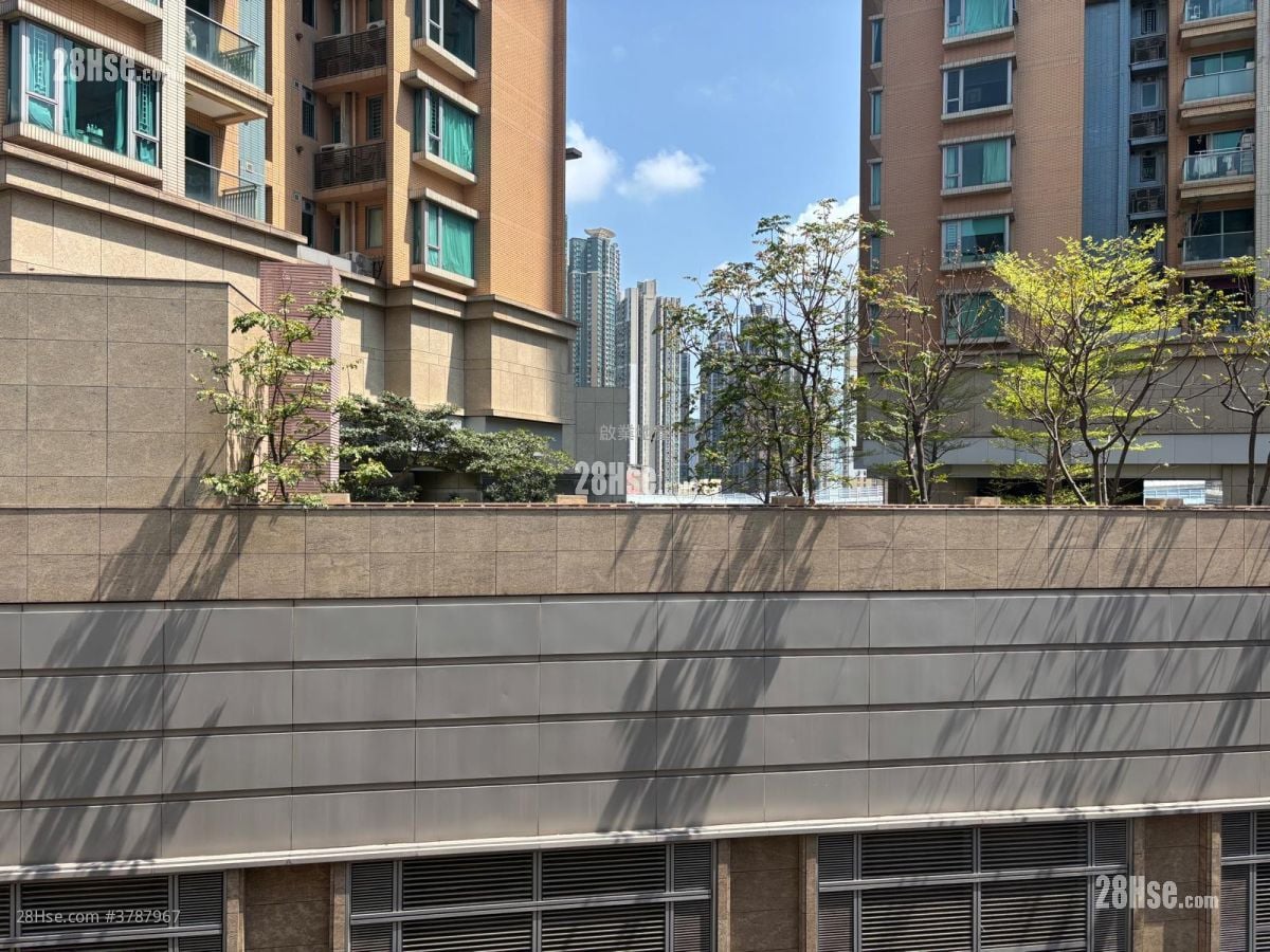 美孚新邨 租盘 3 房 , 1 浴室 666 平方尺