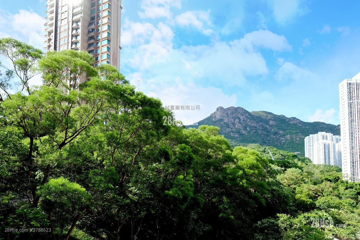 景观: 嘉强苑 售盘 3 房 , 1 浴室 645 平方尺