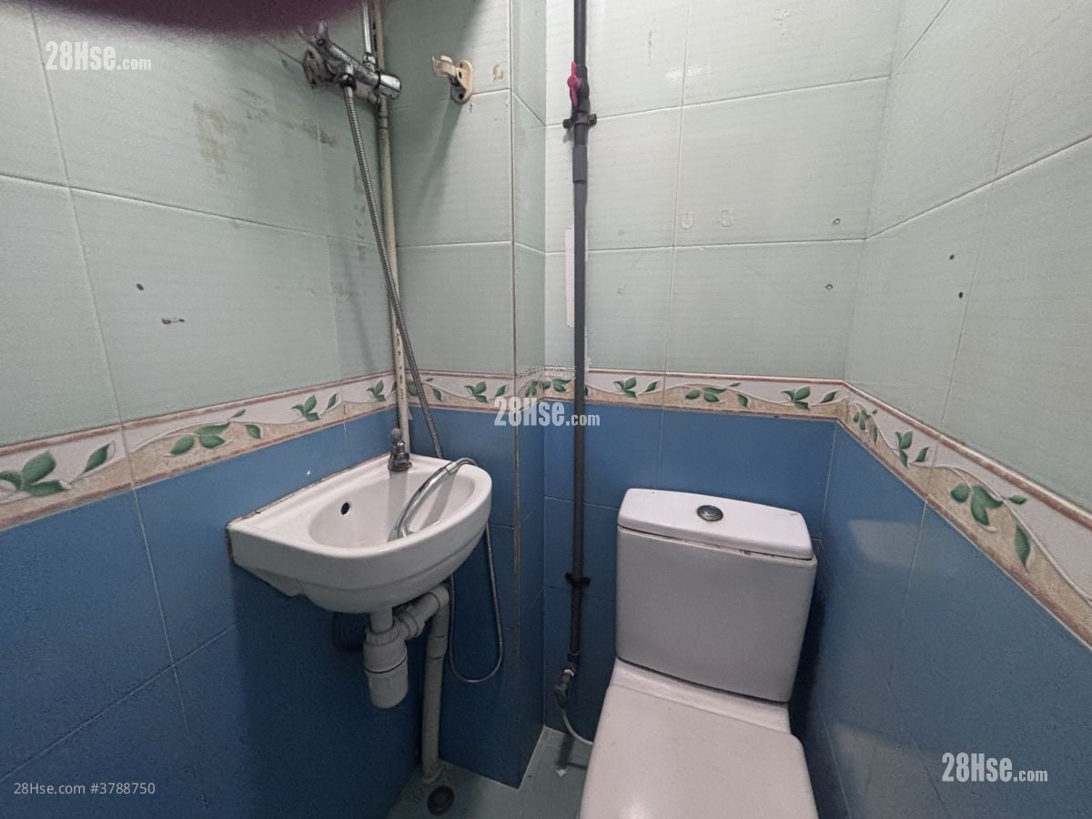 文蔚楼 租盘 1 房 , 1 浴室 180 平方尺