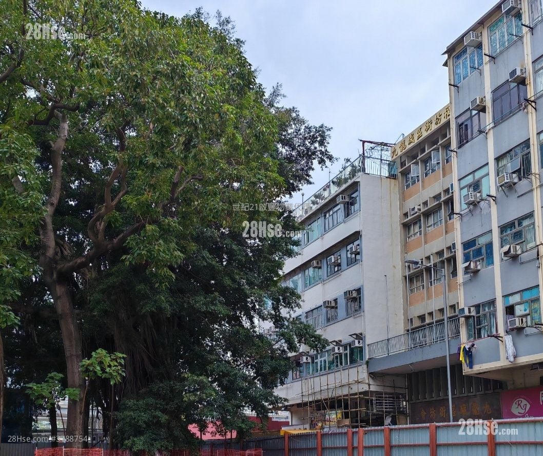 打鼓岭道3-7号 租盘 3 房 , 1 浴室 594 平方尺